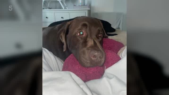 [Image: 4ta8o5wgaui0.jpg]