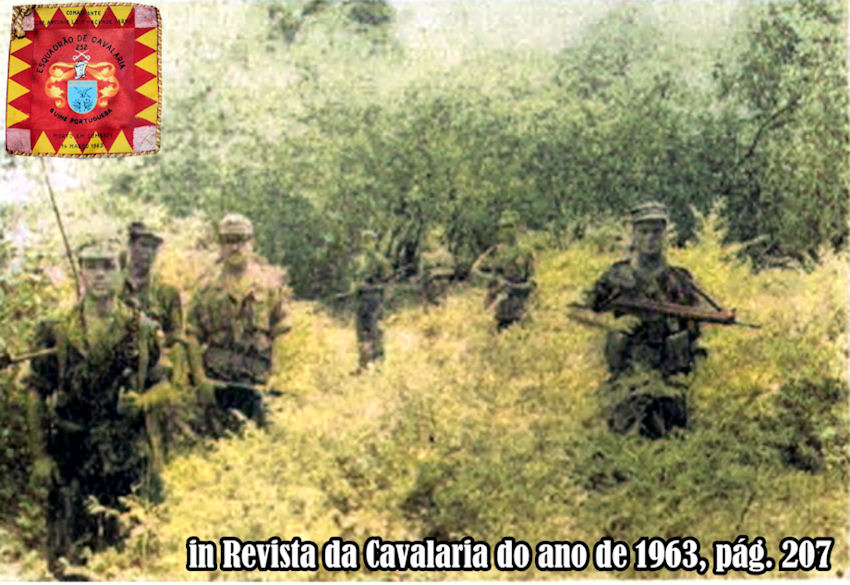 ECav252-Rev-Cav1963-207-920