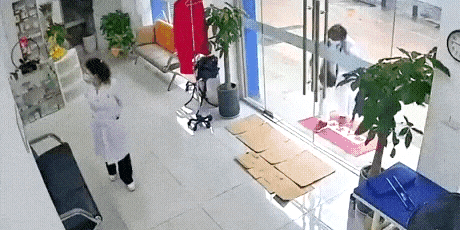 86.gif