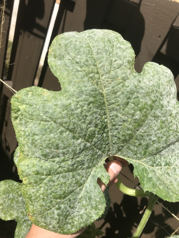 BDA3D7E0-6A4D-4C99-89CD-25E6F70A733D