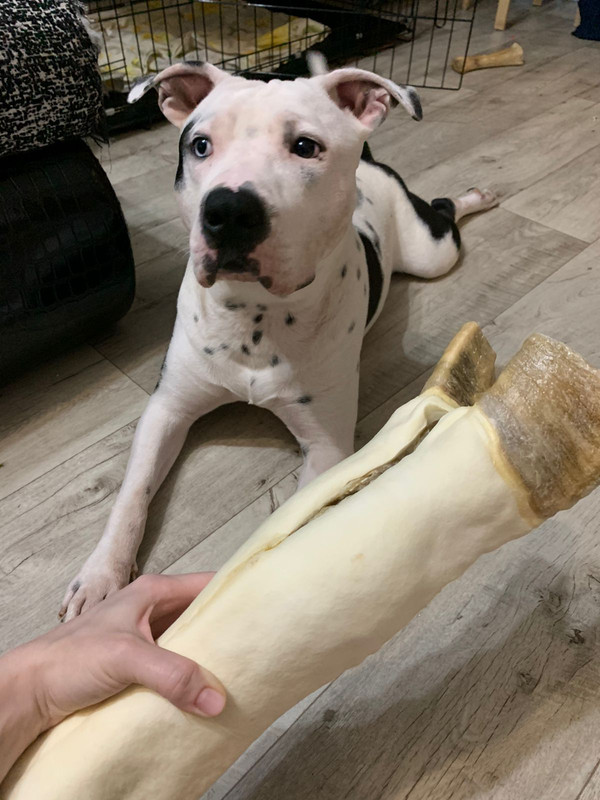 74C33591-6EFE-418E-82E3-D1CF784E67E5