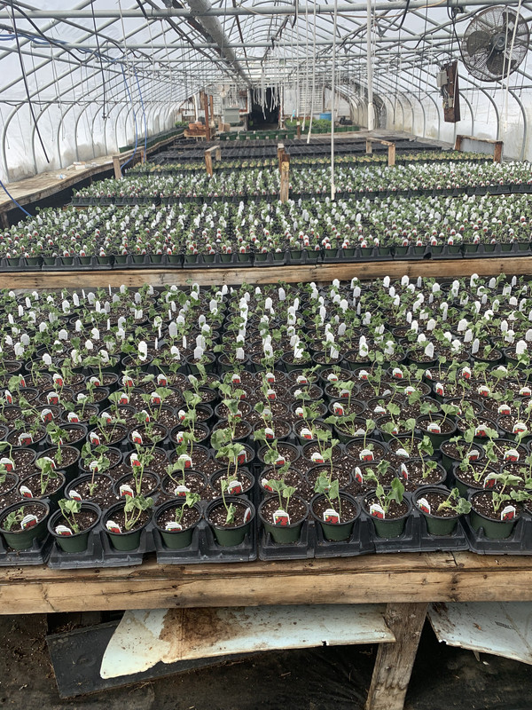 15F20A58-547C-412D-A028-FD893664BAC8