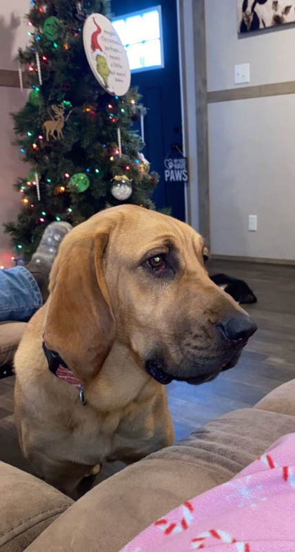 B5C1B881-FFD1-4D2D-B34F-E6129B48A6DA