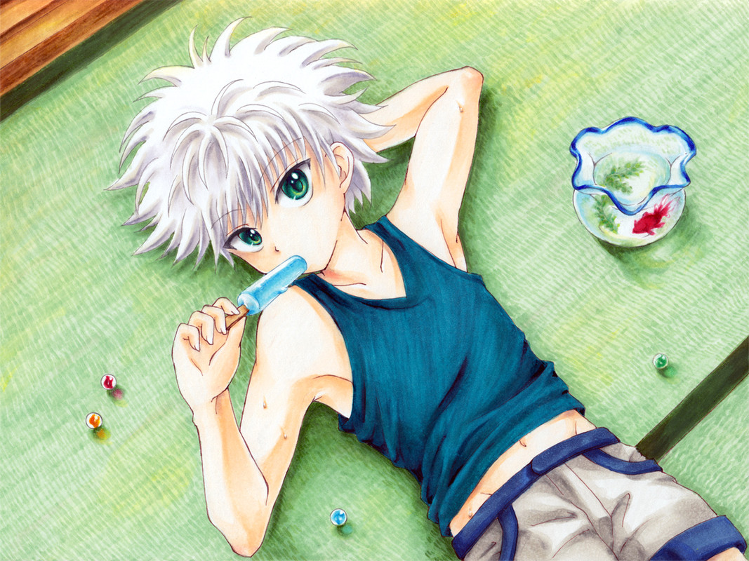 killua-zoldyck-hunter-02.