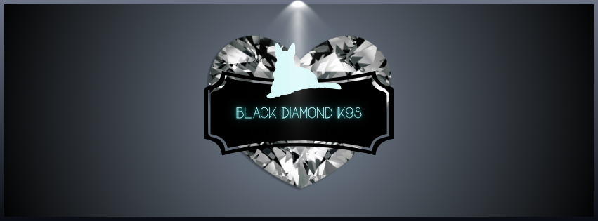 Blue_Wolf.jpg