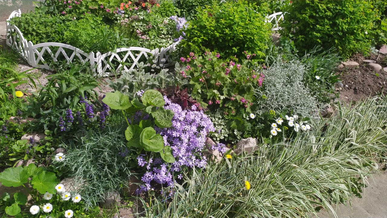 IMG-20210519-WA0012