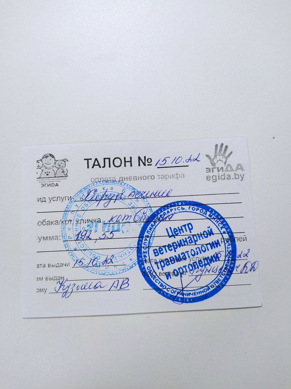 изображение_viber_2022-11-10_16-45-32-947