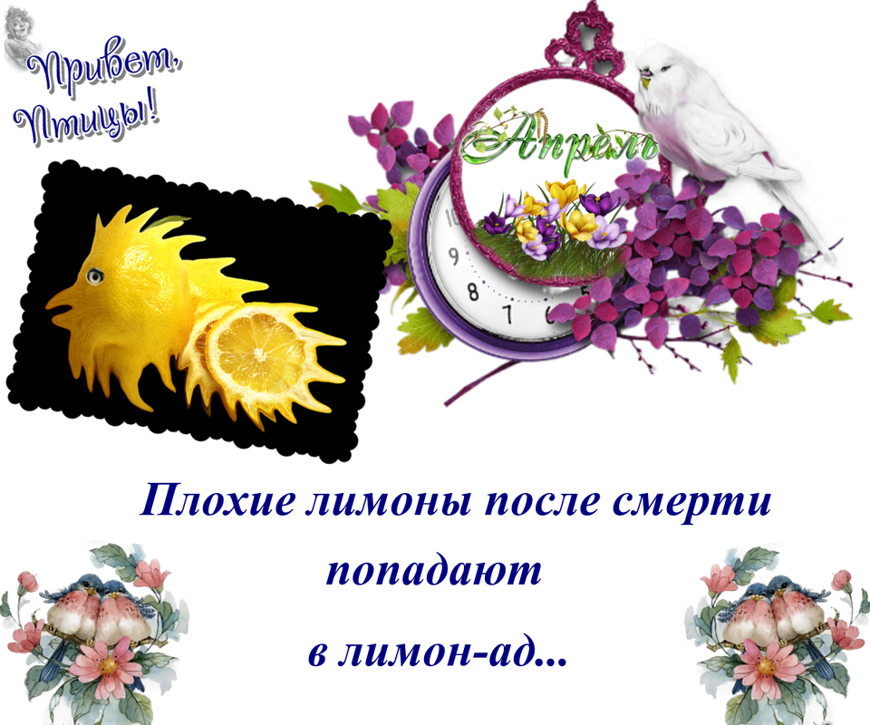 https://i.postimg.cc/521pmNf0/14-04.png