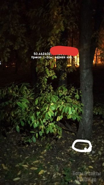 IMG_20201125_004911_770(1)