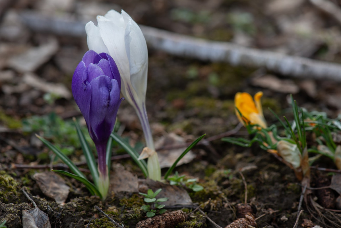 IMG-9f2d55d68774e7e7287779ba5471d788-V