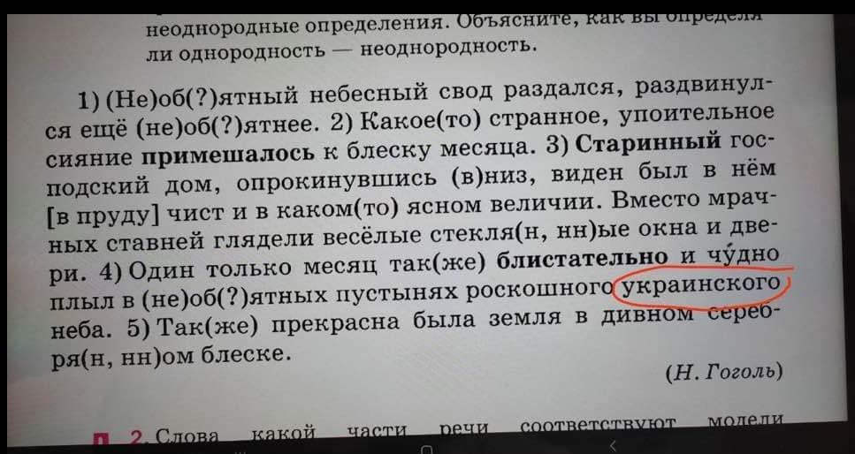 gogol-1.png