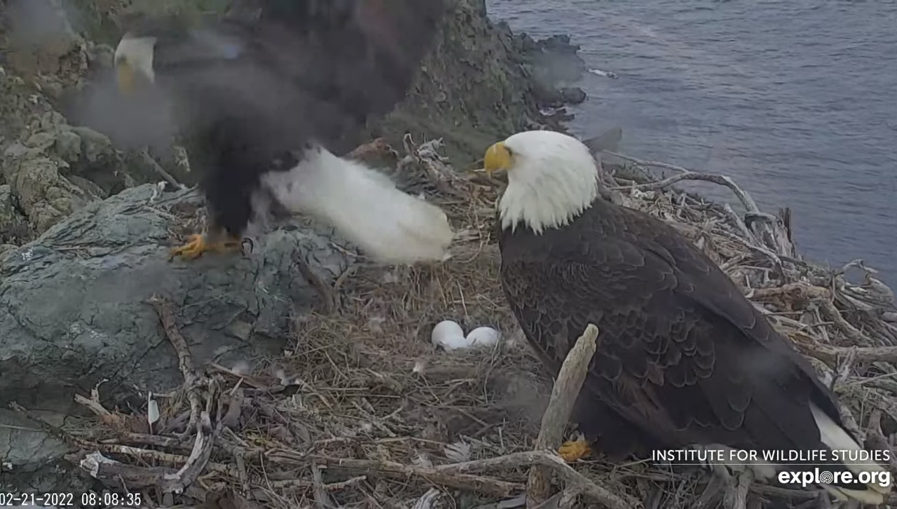 9154AB8A-6412-4BE6-884A-DE017EEEF3AE