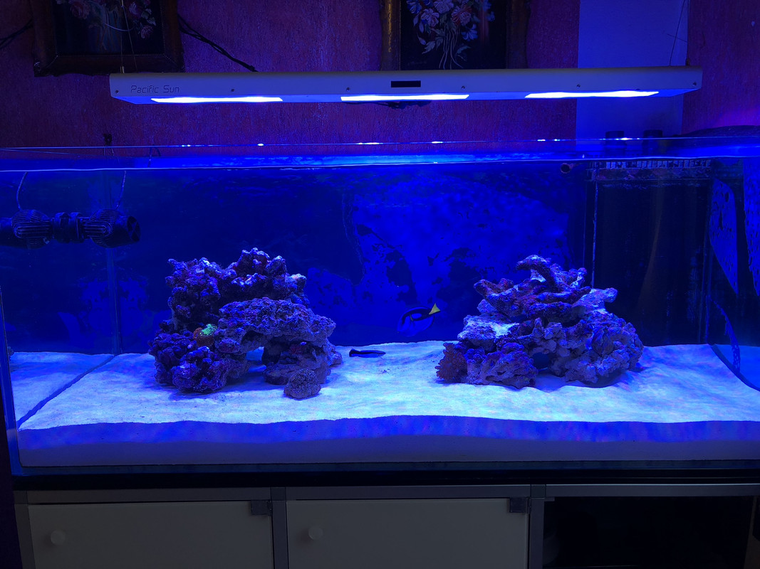 32010EBD-E575-4399-9C38-022BDFA90472