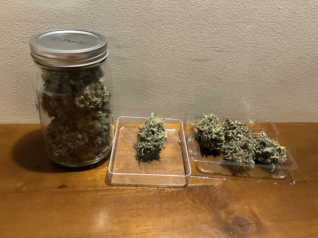 70DA0B43-E0FC-409B-AD1C-ECC45F7684F2