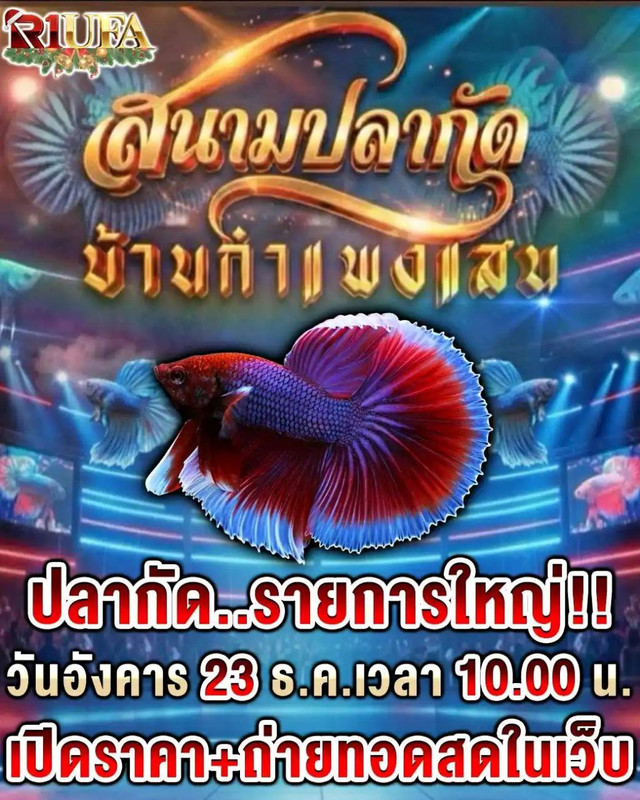 photo-2025-12-22-14-32-05