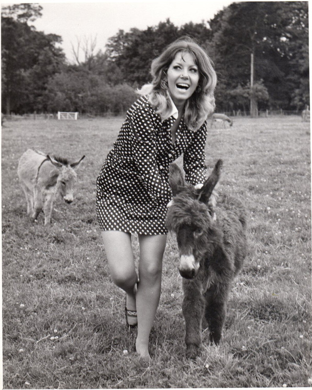 ingrid_pitt_b30