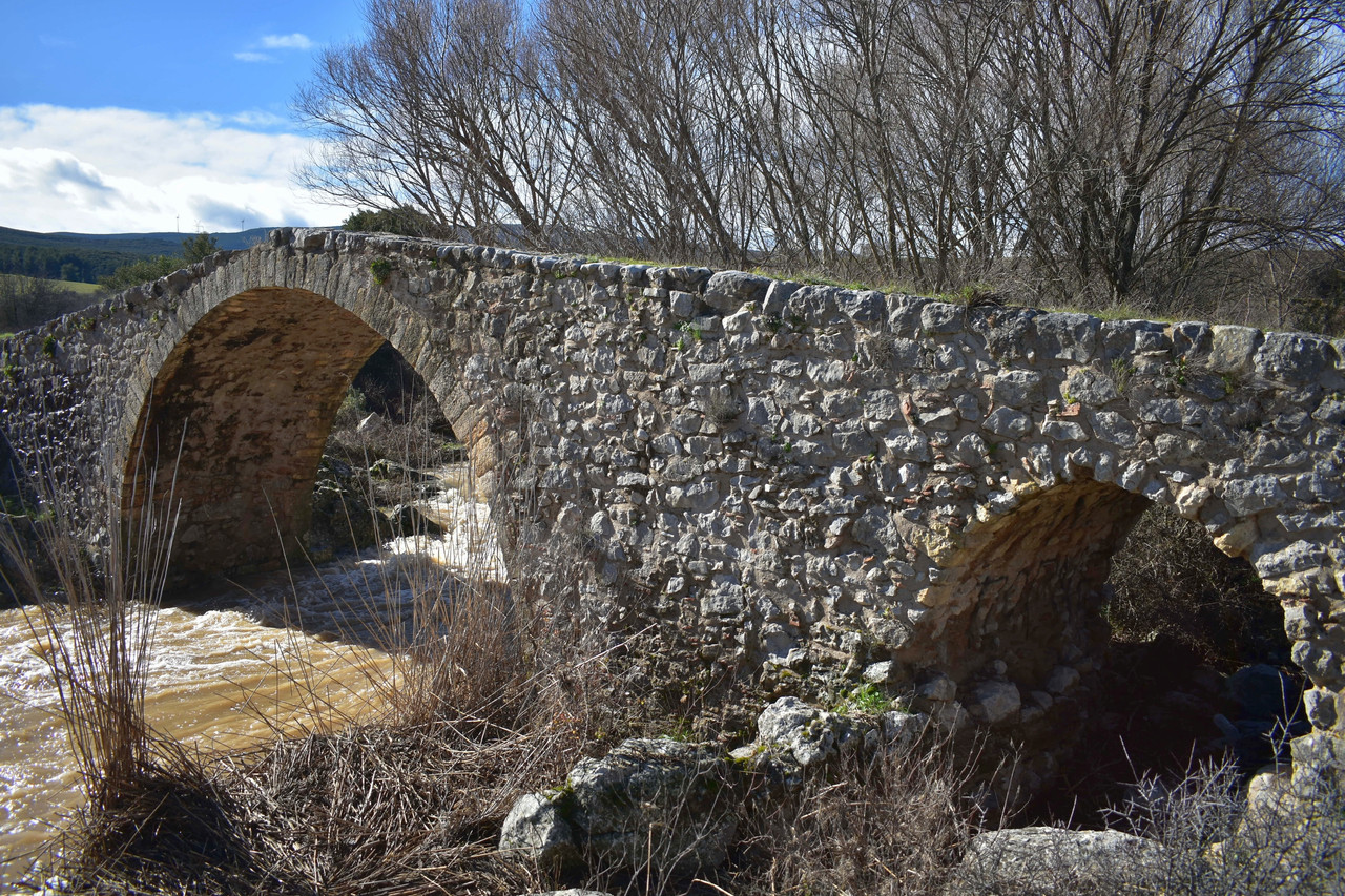 Πέτρινο γεφύρι Δαφνούλας (1)