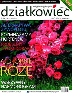 Działkowiec 7/2019