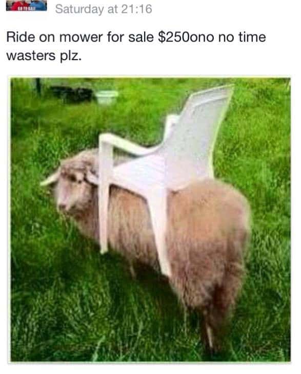 ride on mower_zpsqvivtmn8