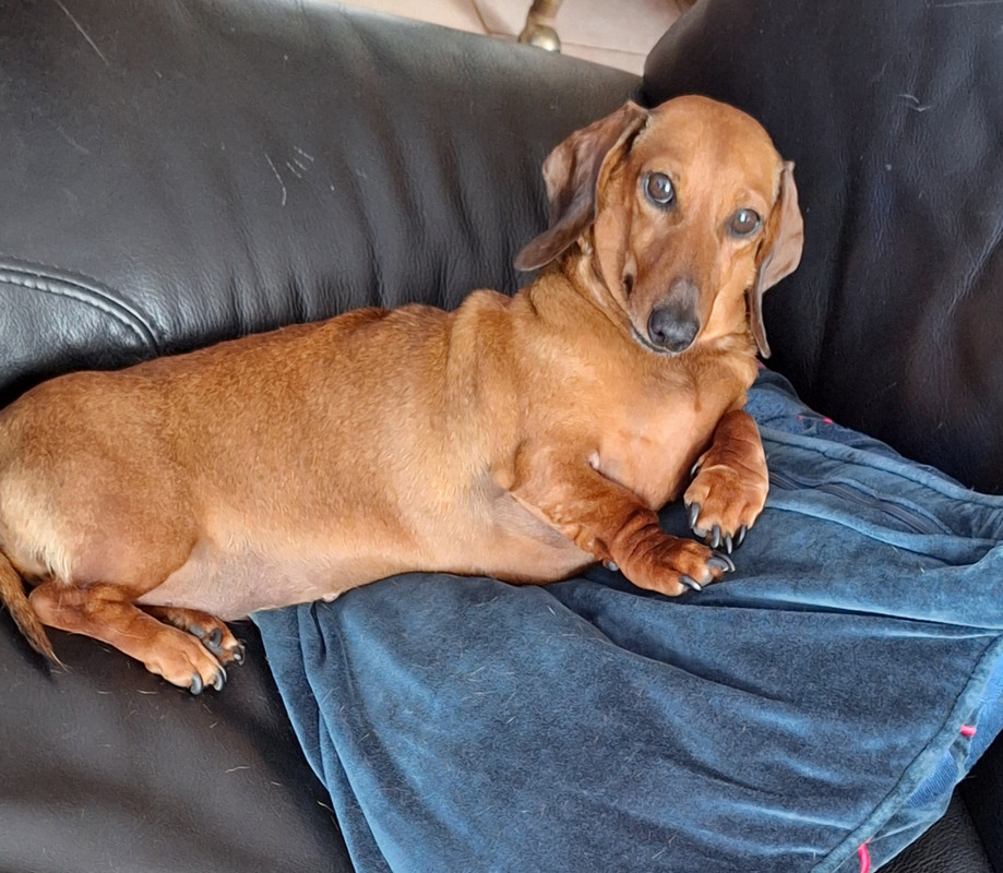 [Image: 20240816-165522.jpg]