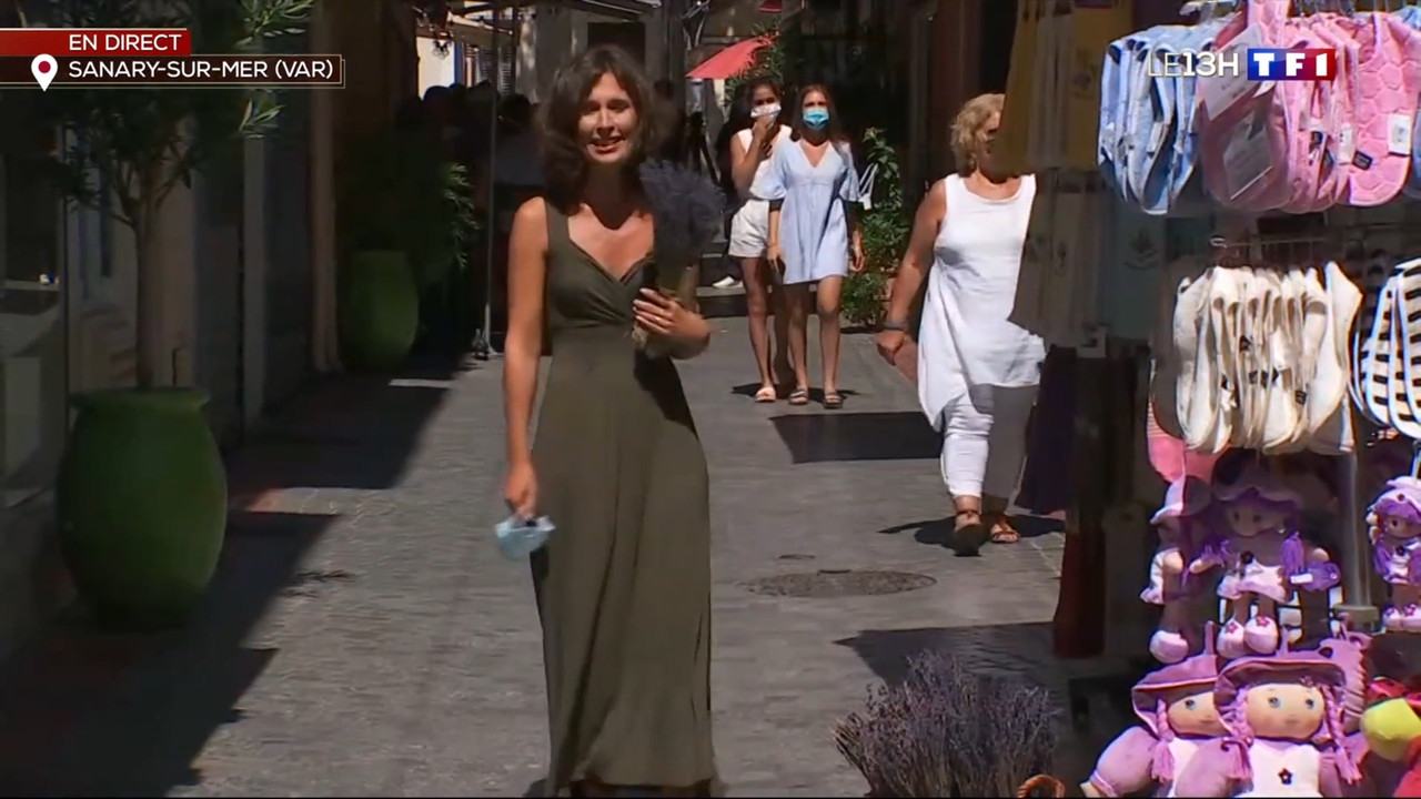2020-08-26_13_00_TF1_Le-13h.mp4_snapshot_33.47.864