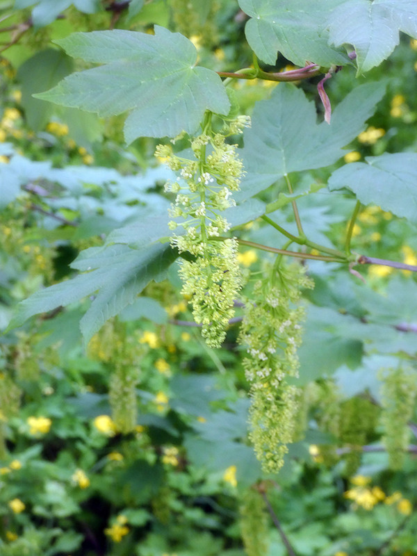 P1090381-1... (1024)