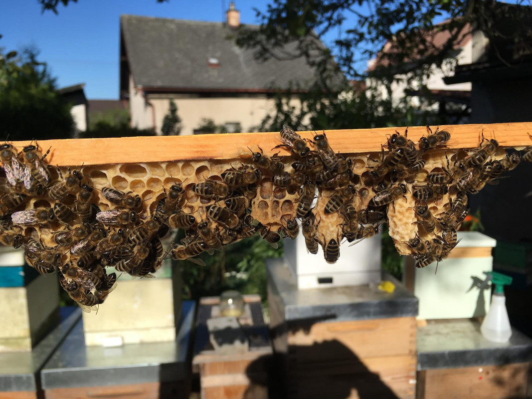 6168D364-3F7A-43DB-AEFF-CFA7B96A3499