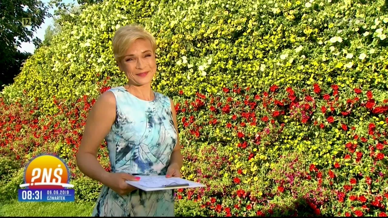 V0323_20190612_165446.mp4_snapshot_04.10_[2019.06.13_20.22.51]