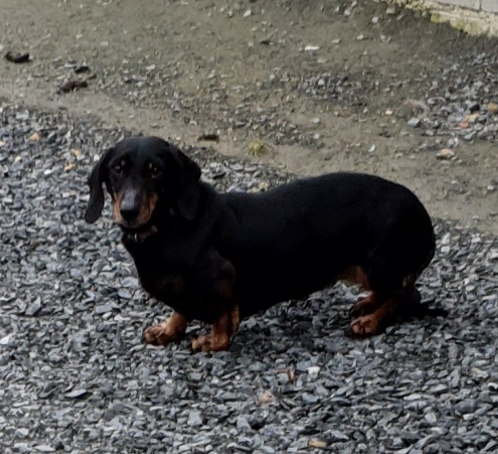 [Image: 20220112-135641.jpg]