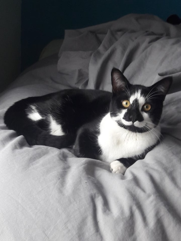 GIGI 265324395_3181734635389888_5339754712232071130_n