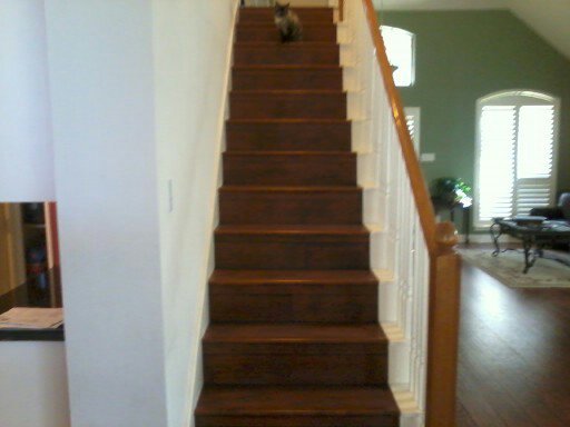 lumber liqudaters morrning star banboo on steps and landing  wood floors installation