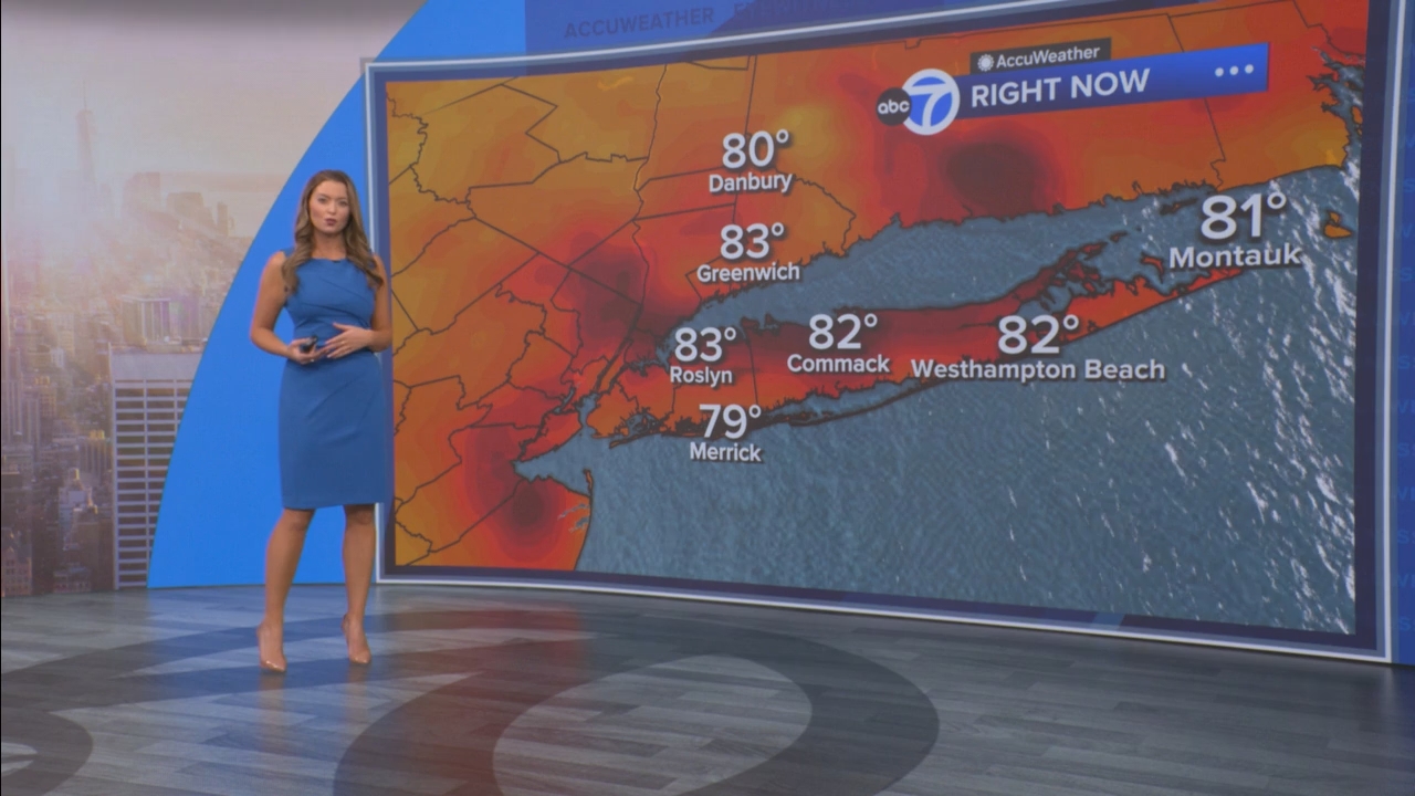 Eyewitness News Mornings at 10_20250811_15001600.ts_snapshot_45.04.401