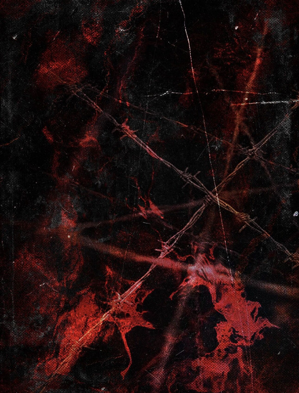 QQ图片20260412235844