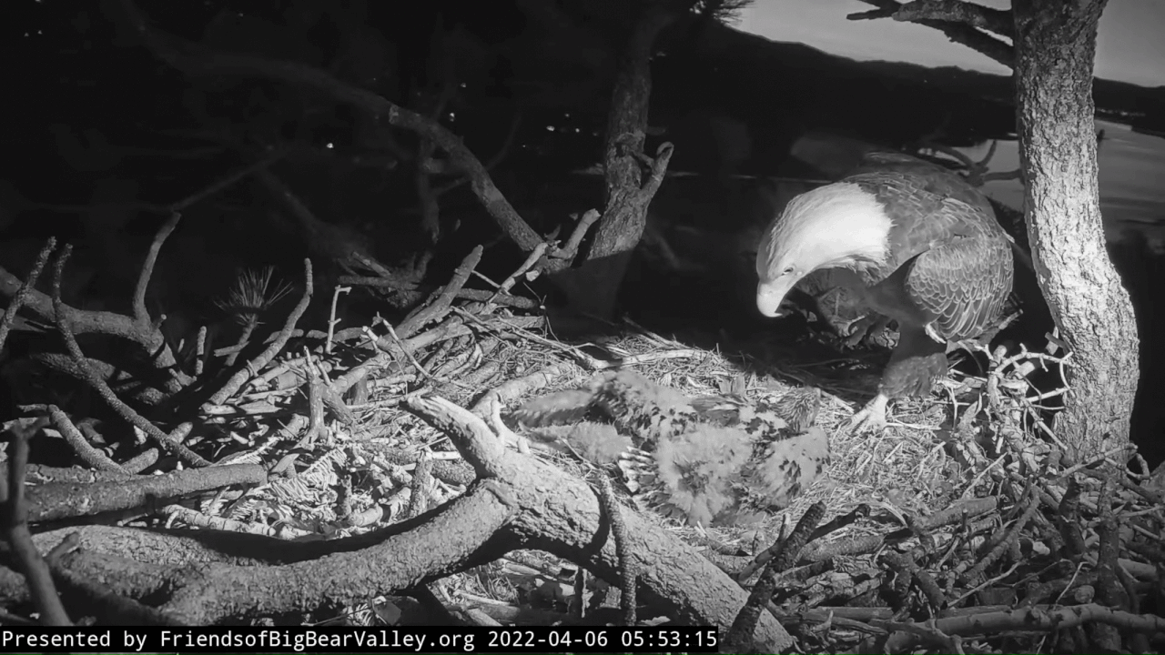 Webp.net-gifmaker (13)