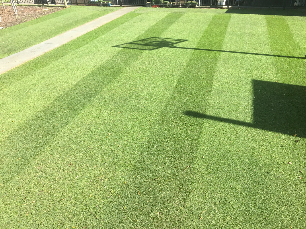 92A85B62-3AC4-4914-A33F-19C4B0F61295