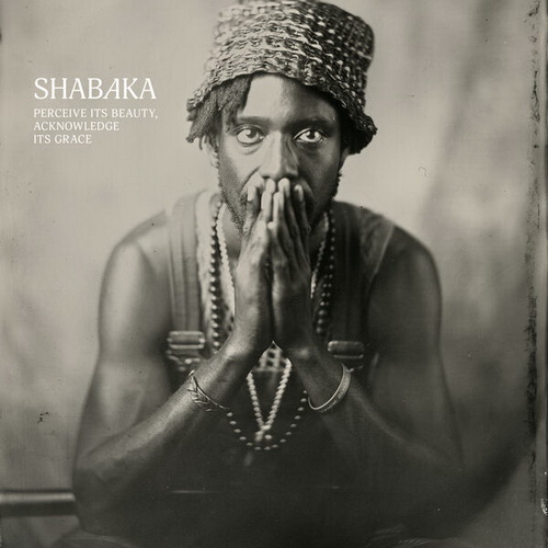 Shabaka - Perceive Its Beauty, Acknowledge Its Grace (2024) [FLAC]