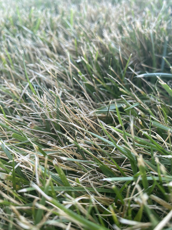 E0D22D2E-1C9C-4E07-B265-073C8024DCC9