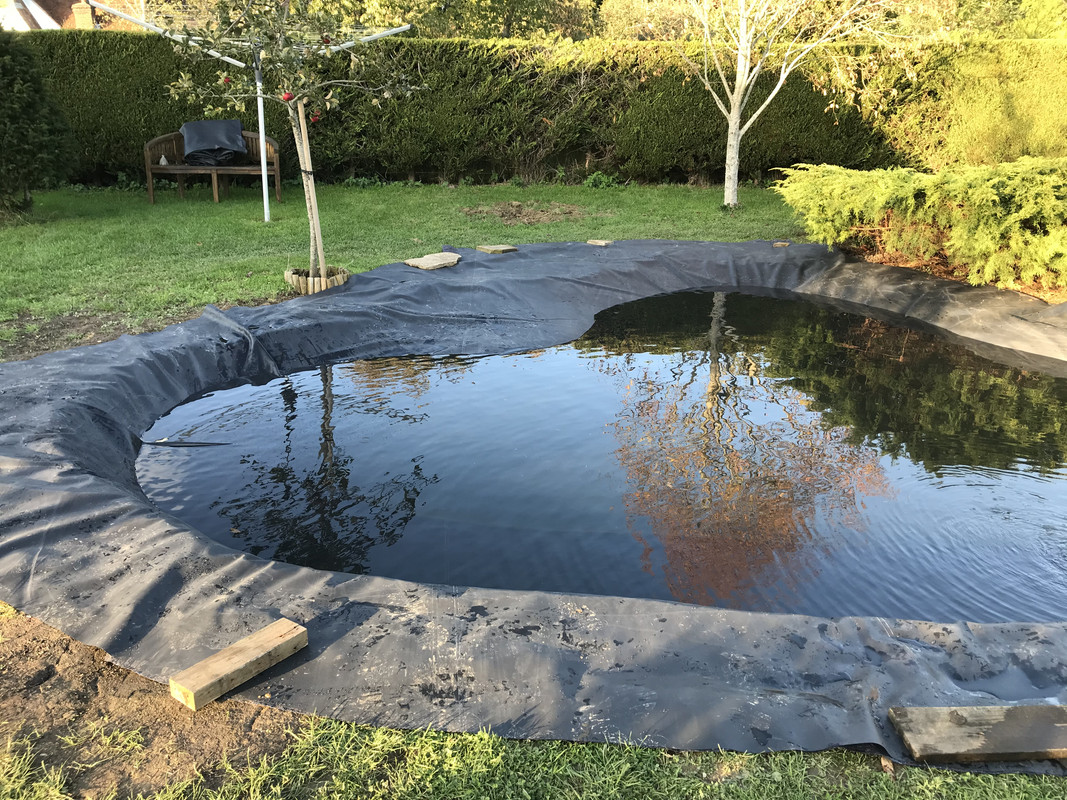 28BD9B97-5B8B-4208-B5B0-9325DC4080B8