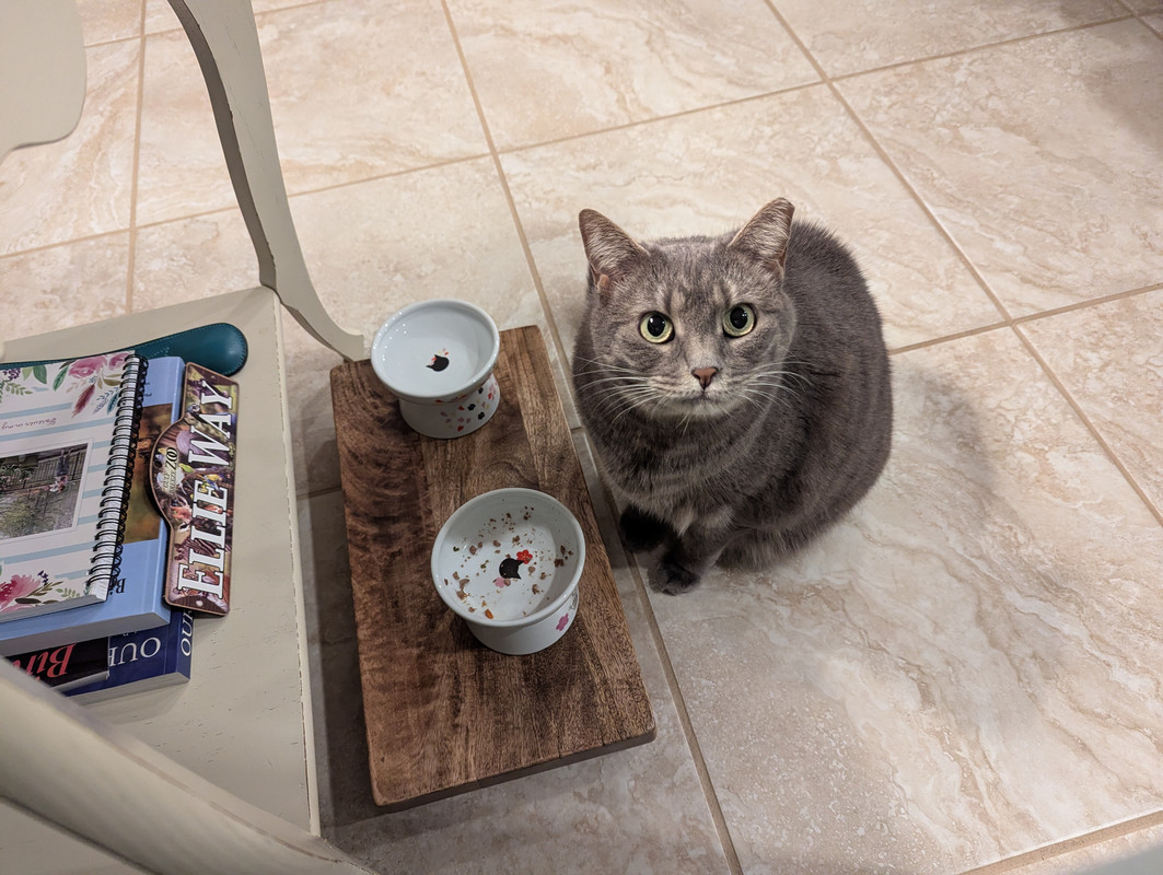 PXL_20250707_041049388