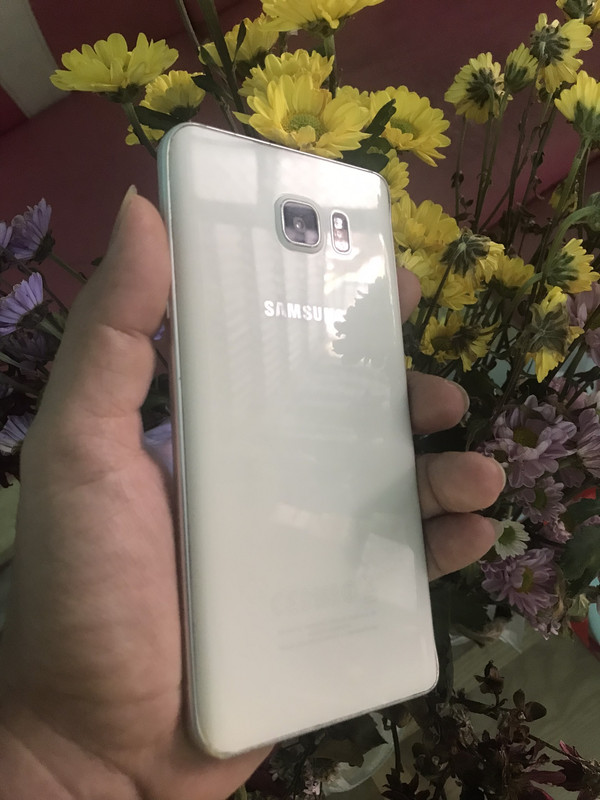 IMG_1679967984306_1679968029323