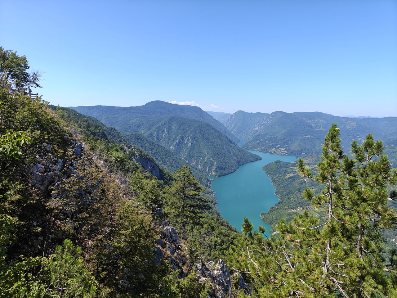 IMG20260801132605.jpg