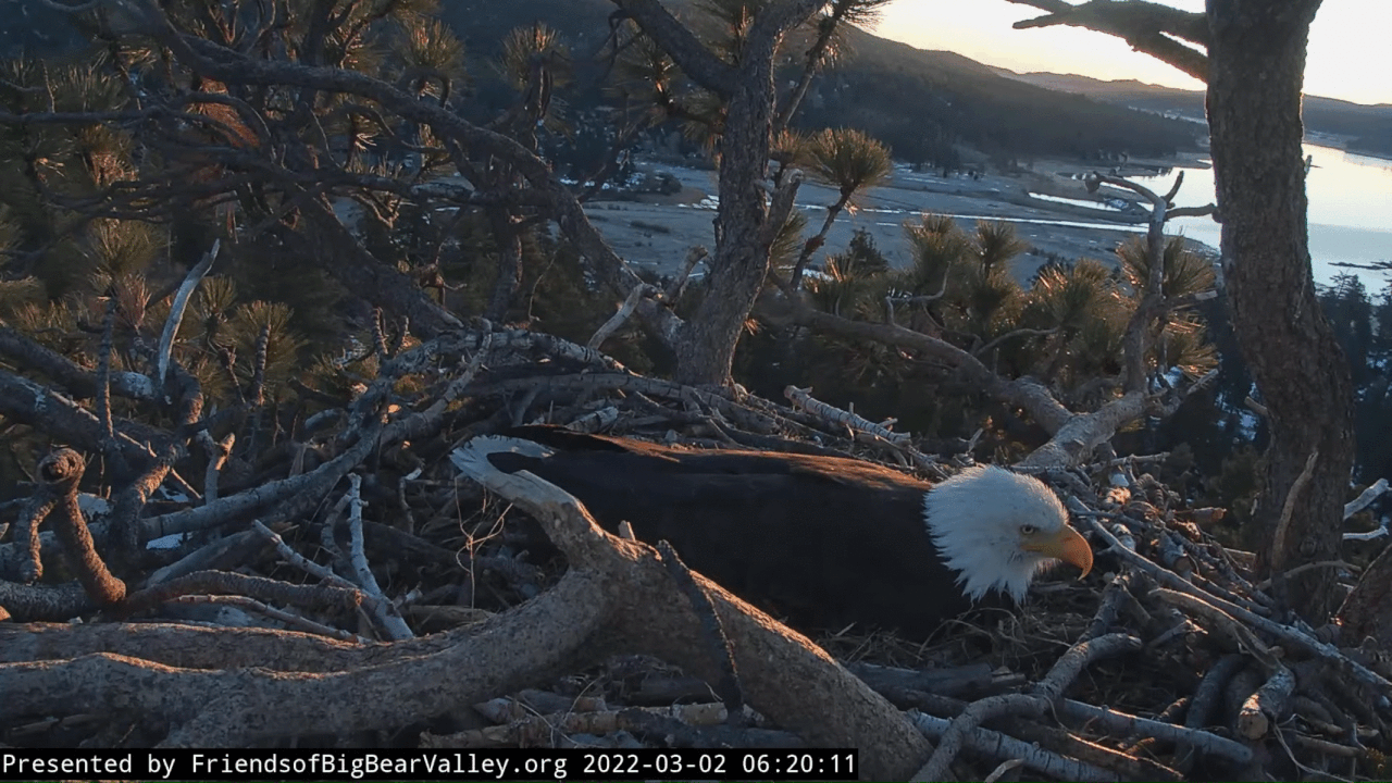 Webp.net-gifmaker (3)