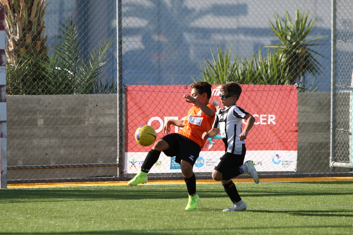 VIK_0378