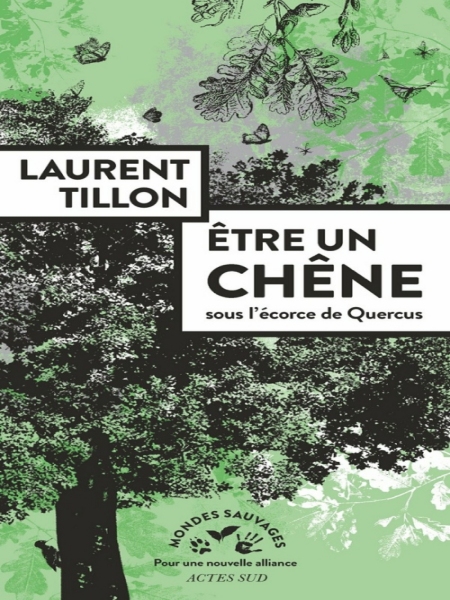 Etre-un-chene-Laurent-Tillon.jpg