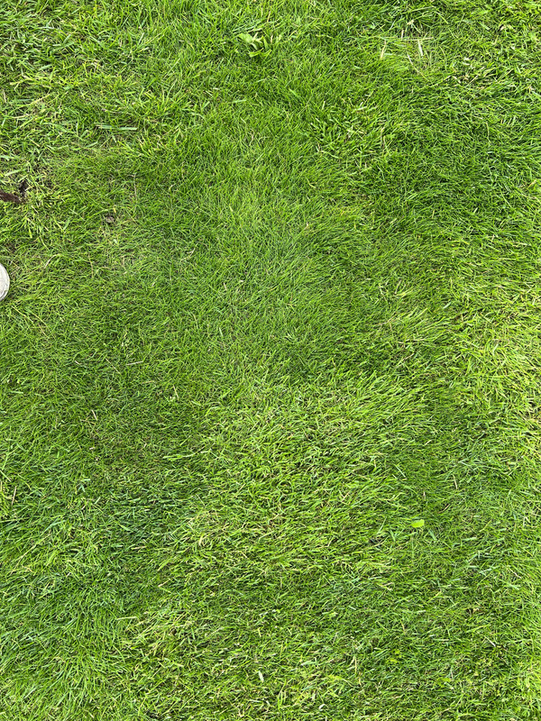 75E486E9-EF6B-4ADB-A9DD-BDD7E73D1522