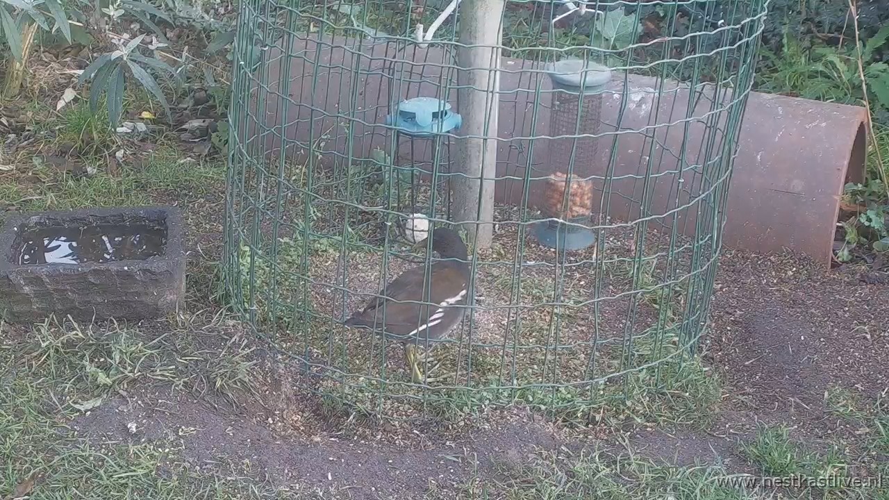 snapshot 2025 12 21T151229 045