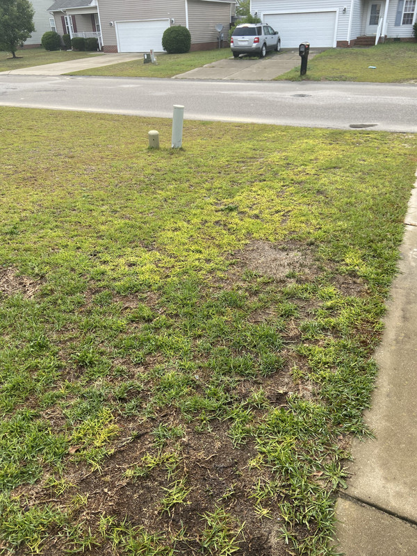 D6587597-1957-4B9F-AB18-CFF80E16A3EA