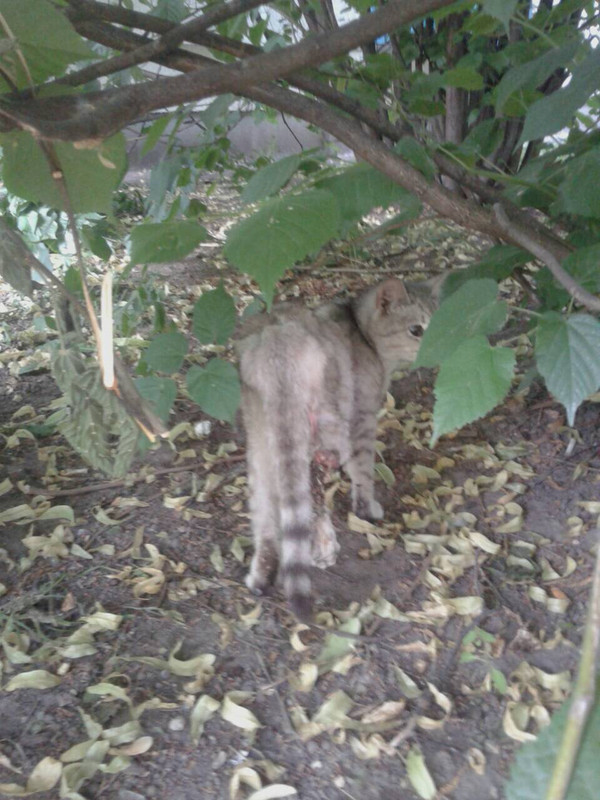 F36E4698-E223-48C1-BFDE-D2DB640E06A3