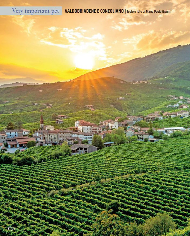 QuattroZampe Nov 2022 (7)