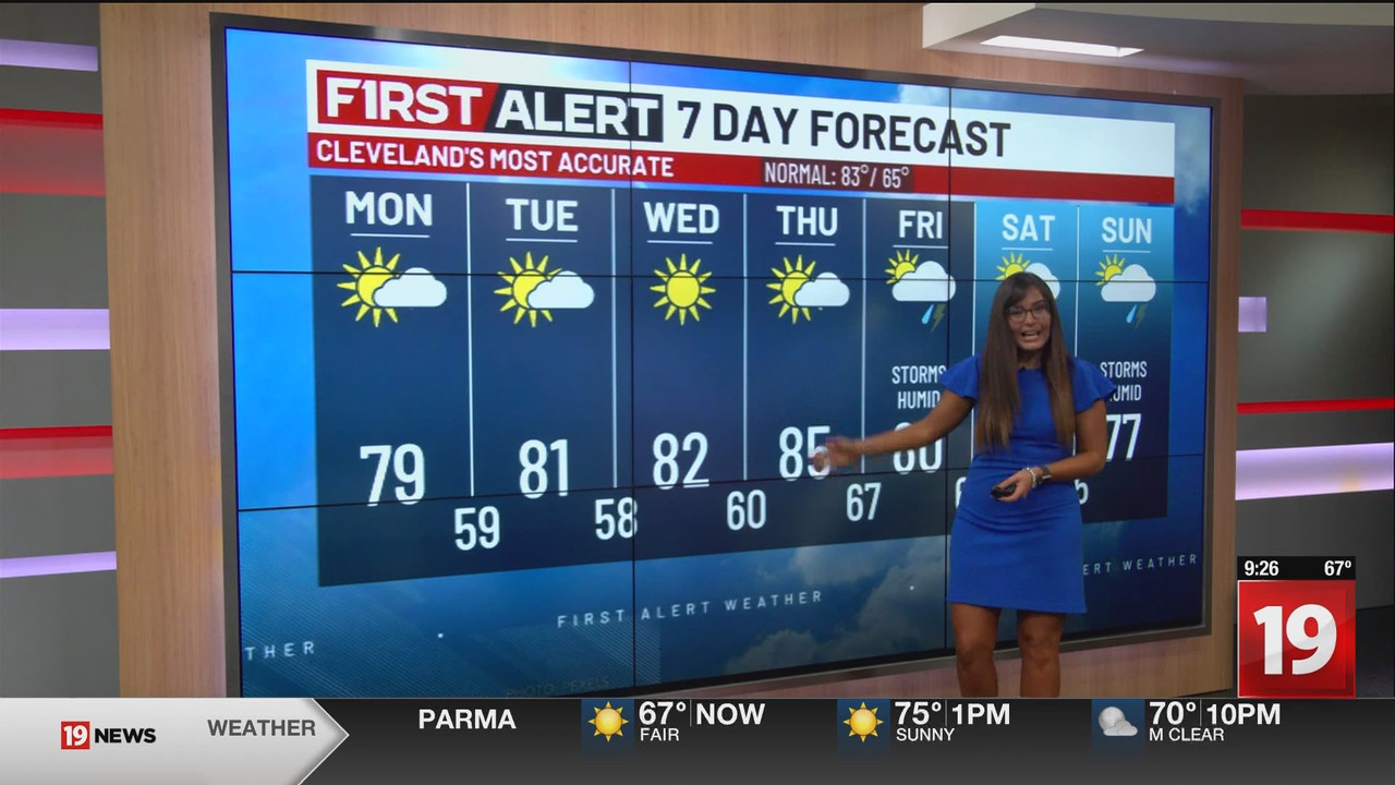 19 News at 9AM_20240812_14001430.ts_snapshot_28.16.147